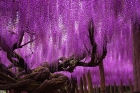 ϸɲ֮վõͨˣҺܸˣӭָ֧֡ ...