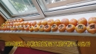  ĺϲ