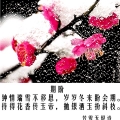 ʫ