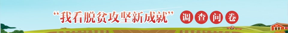 ƶ