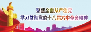 聚焦全面从严治党 学习贯彻党的十八届六中全会精神