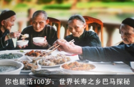 Ҳܻ100꣺糤֮̽
