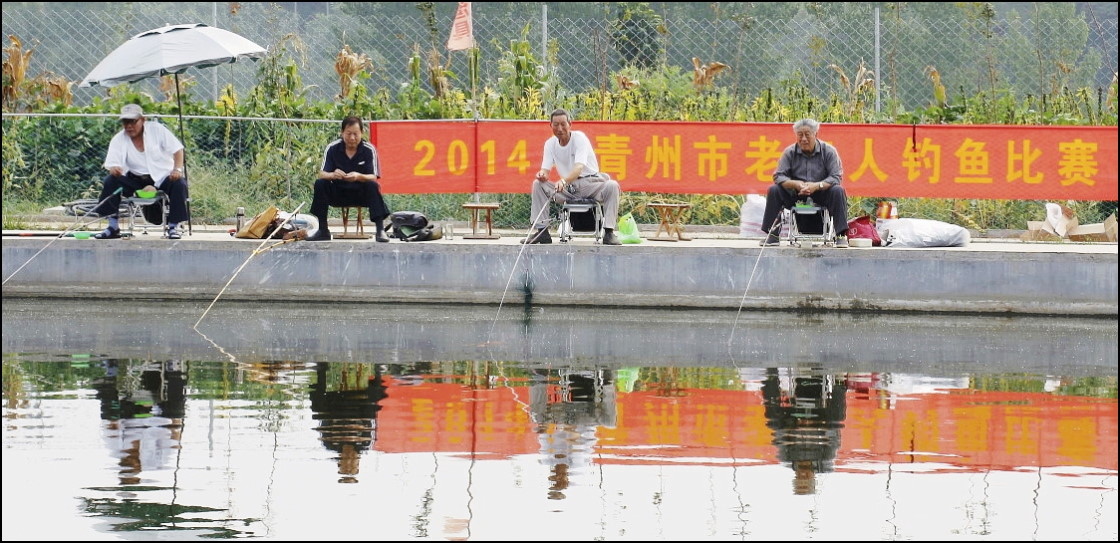 2014˵