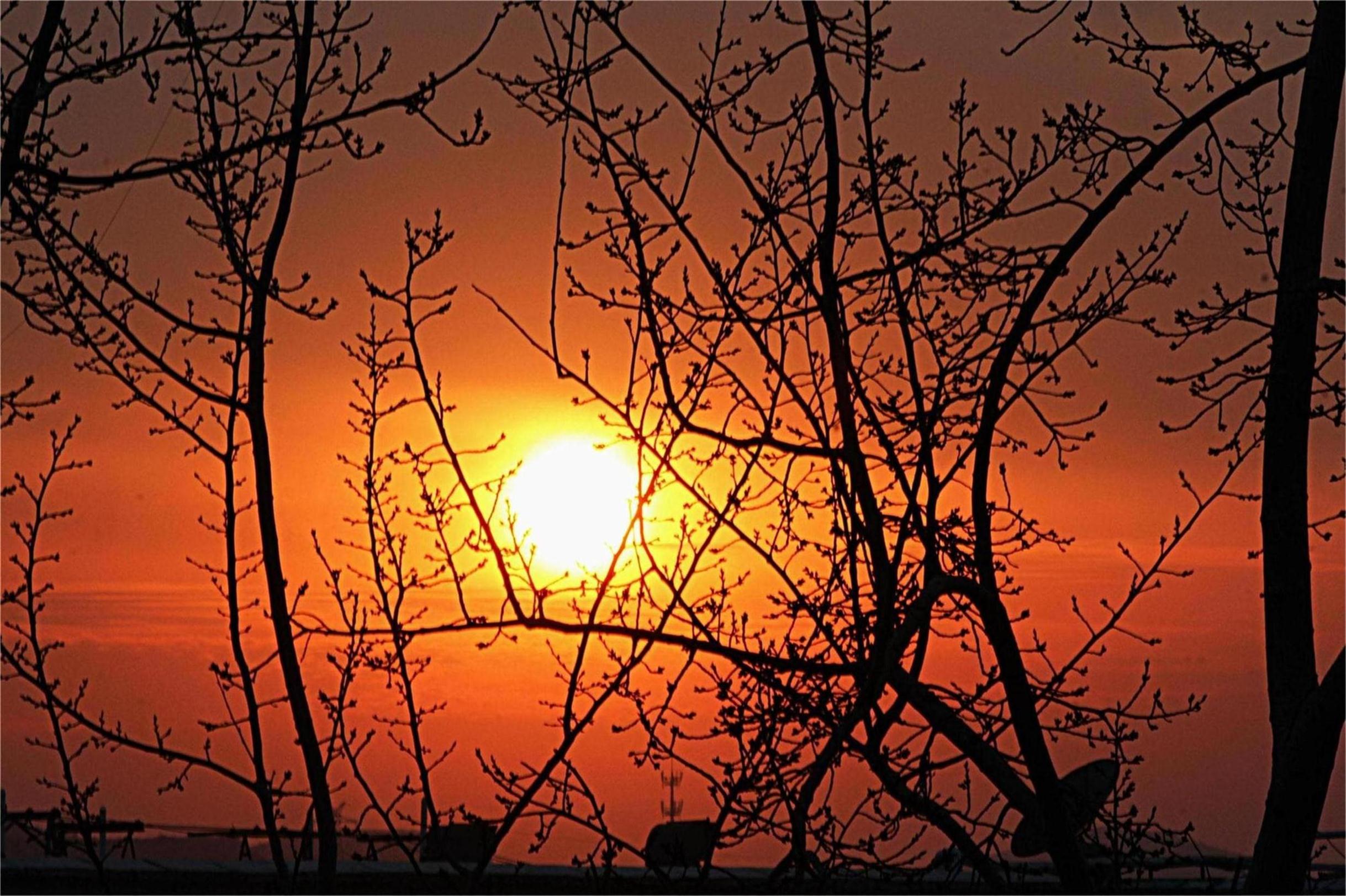 074821etneksnn4n3ivet3.jpg