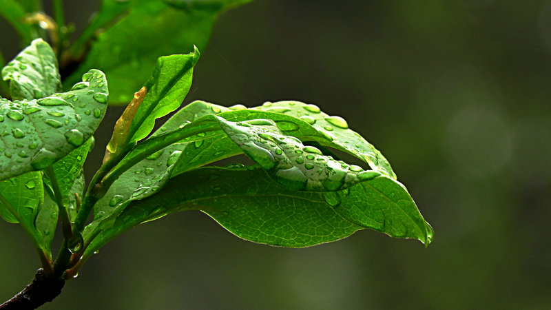 wKgCyVWEpErRwfauAAFiQjDZgM8757.jpg