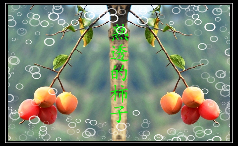 һ֦͸