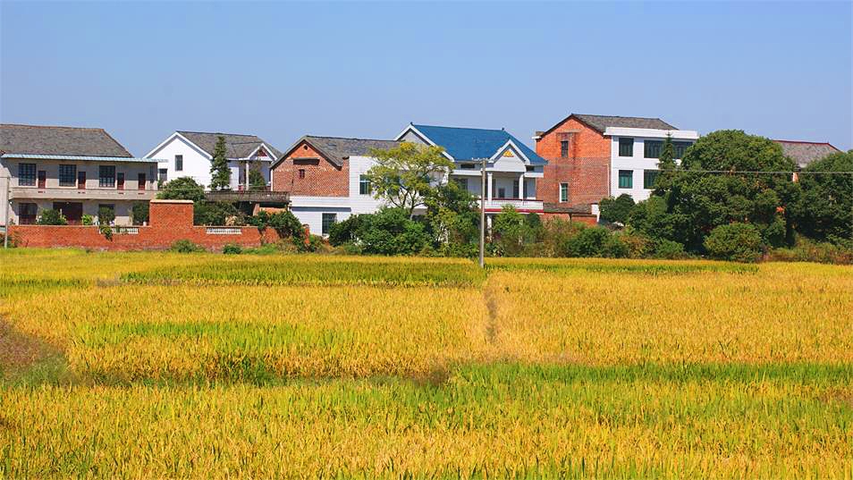 DSC08714_看图王.jpg DSC08714_看图王.jpg