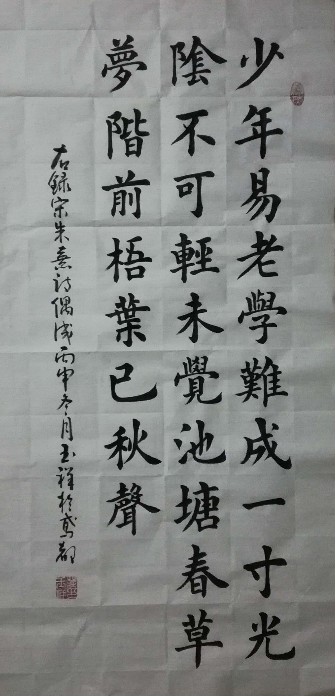 鷨չʾż
