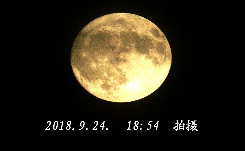 164716ldo1cdfdshm2ppds.jpg