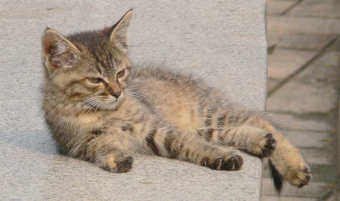 201061316503986452.jpg
