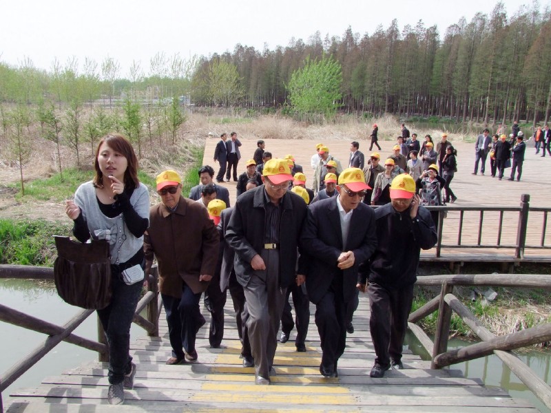 兴化市委召开第三届千岛菜花旅游节情况通报会