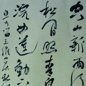 鷨һȽ  ίϸɲֱ