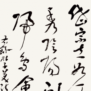 鷨 һȽ  ίϸɲֱ