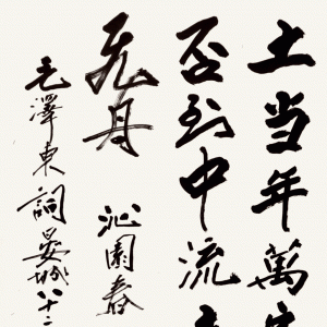 鷨 Ƚ ǫ ίϸɲֱ