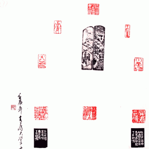 鷨 Ƚ  ൺίϸɲֱ