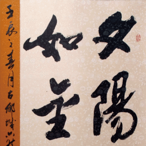 鷨 Ƚ  ίϸɲֱ