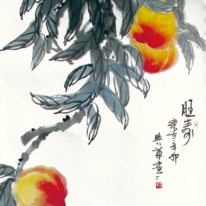 ˻