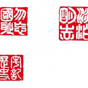 ˻