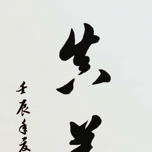  ί