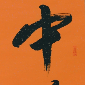 лڷɡ ׳ͱ罨蹫˾