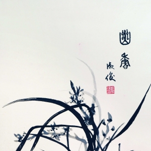 㡷翡 Դᱣϲ