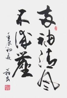 鷨-