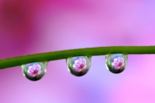 ˮĴ-