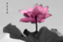 ˮīɻ-̤ѩѰ÷