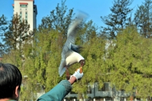 г-С