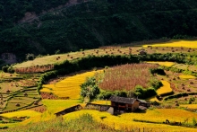 ջʱ-657704327