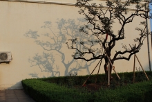 -ϸɲ֧
