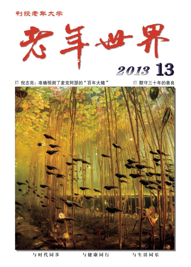 本期封面