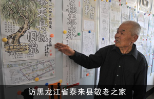构筑“文化养老”基石——访黑龙江省泰来县敬老之家