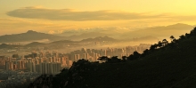 ɽ糿-Ҧ