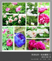 ĵ-lixiantian