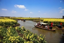 ڻ-baihe