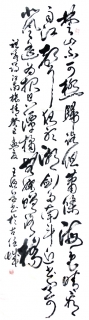 鷨-