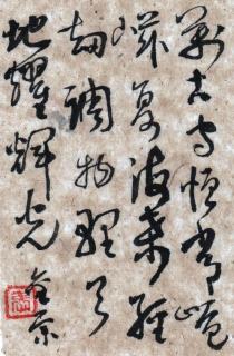 鷨-Ž