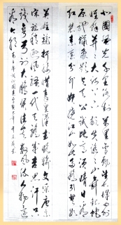 鷨-ï