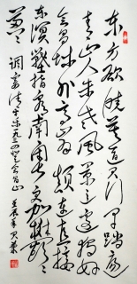 鷨-ž