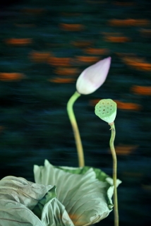źһ ˯ͷ-g