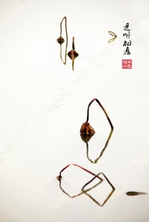 ңӦ-