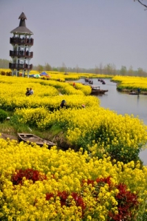 ػƽ-