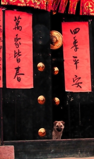 ũҴ-lixiantian