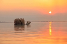 ൺѧѧԱƷ-