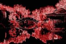 ˿˿-־÷
