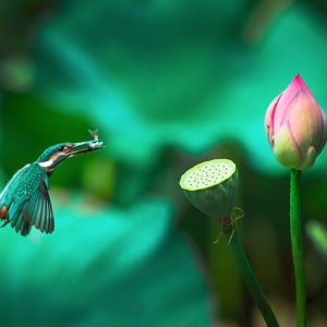 20139ڡͼ¡С롶Сɡ