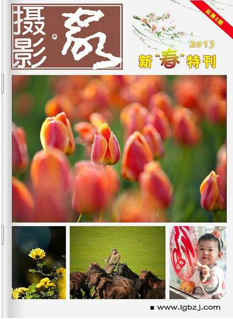 2013新春特辑 总第3期