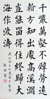 鷨-÷ֲ