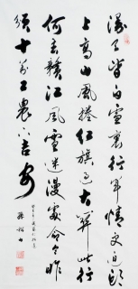 鷨-ɽ